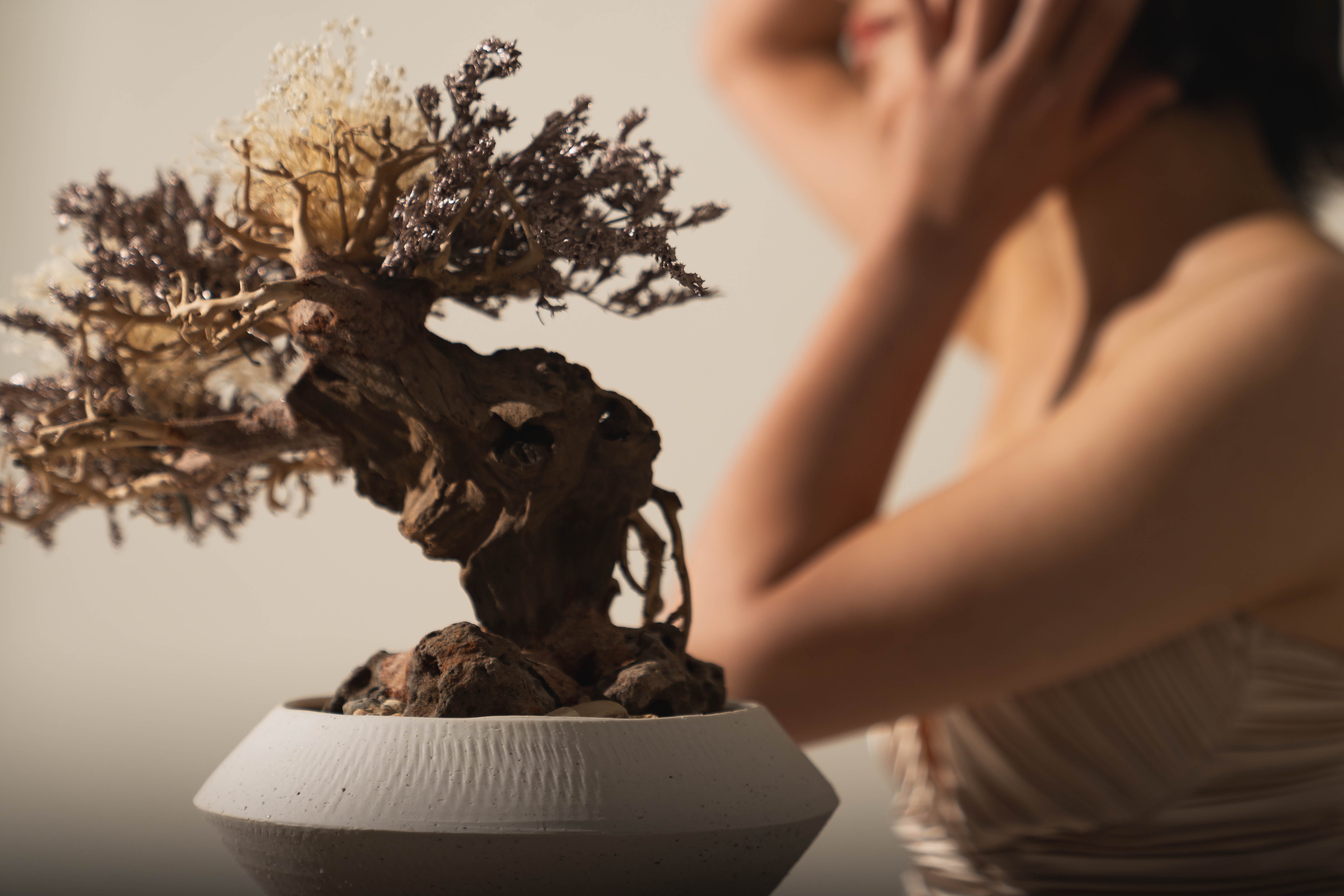 ギフト | 植物・造花の店舗ディスプレイ | 空間デザイン・装飾のIROHA
