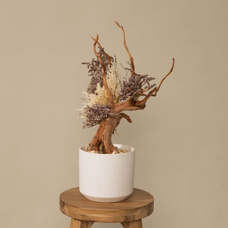 `Plants aroma diffuser No.4`