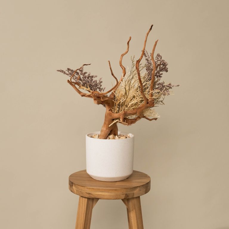 `Plants aroma diffuser No.4`