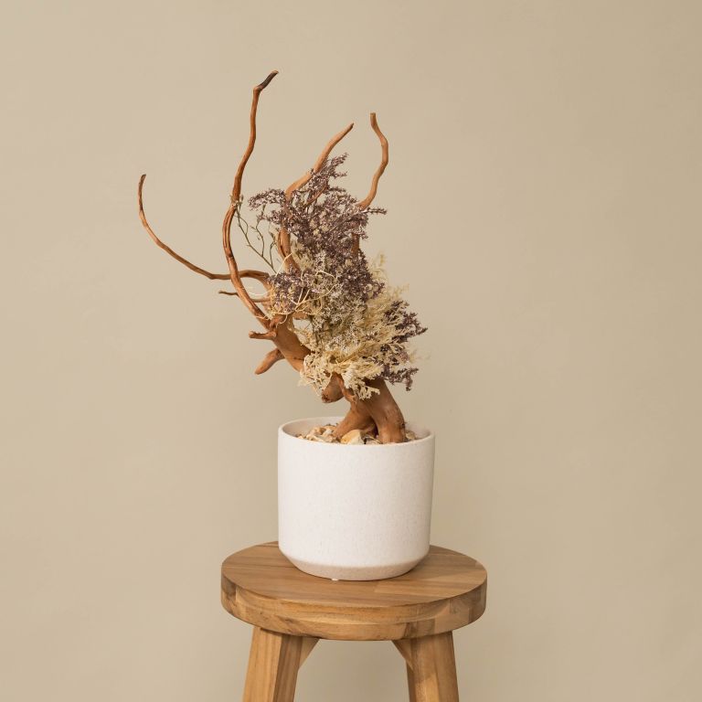 `Plants aroma diffuser No.4`