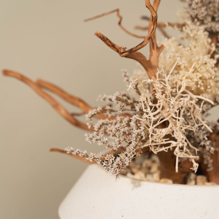 `Plants aroma diffuser No.2`