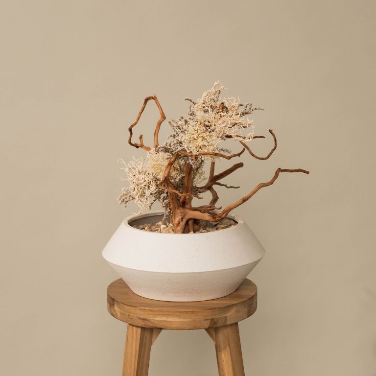 `Plants aroma diffuser No.2`