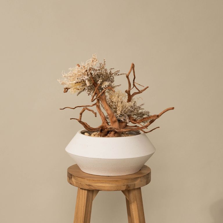 `Plants aroma diffuser No.2`