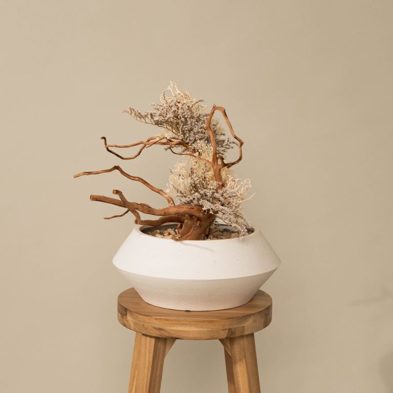 `Plants aroma diffuser No.2`