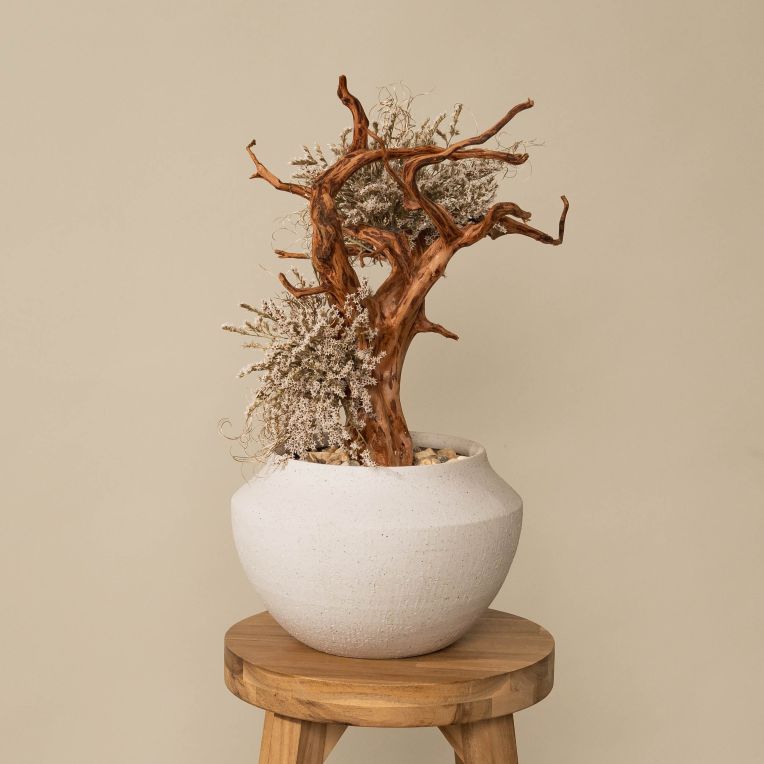 `Plants aroma diffuser No.1`