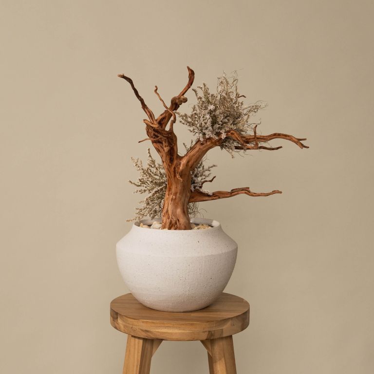 `Plants aroma diffuser No.1`