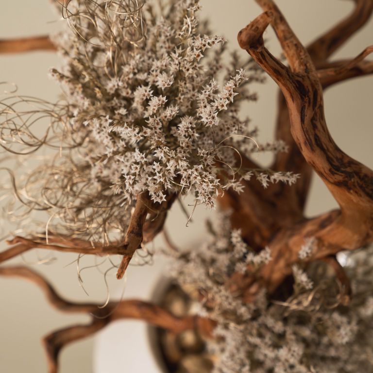 `Plants aroma diffuser No.1`