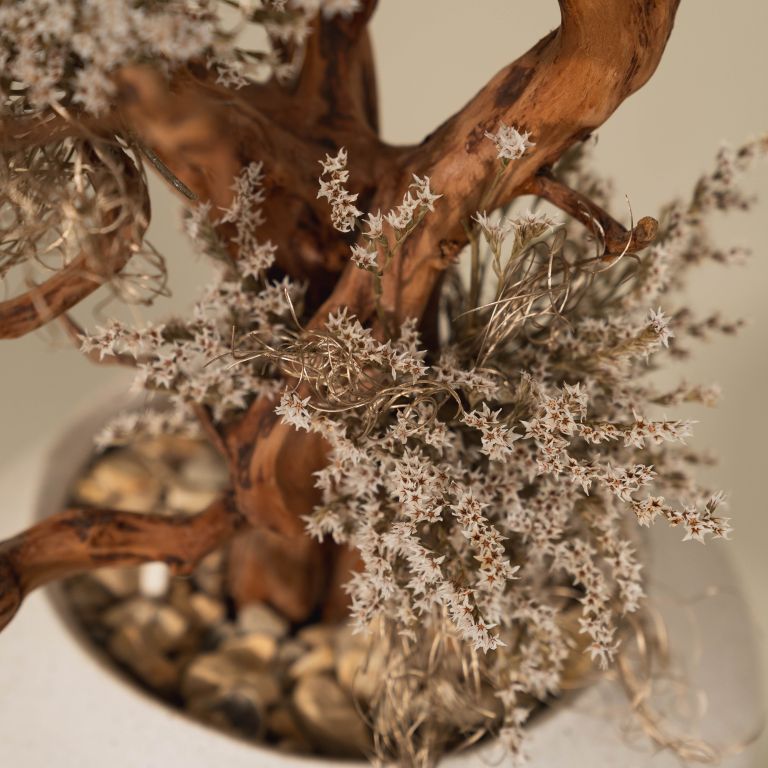 `Plants aroma diffuser No.1`