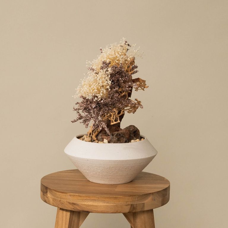 `Plants aroma diffuser No.3`