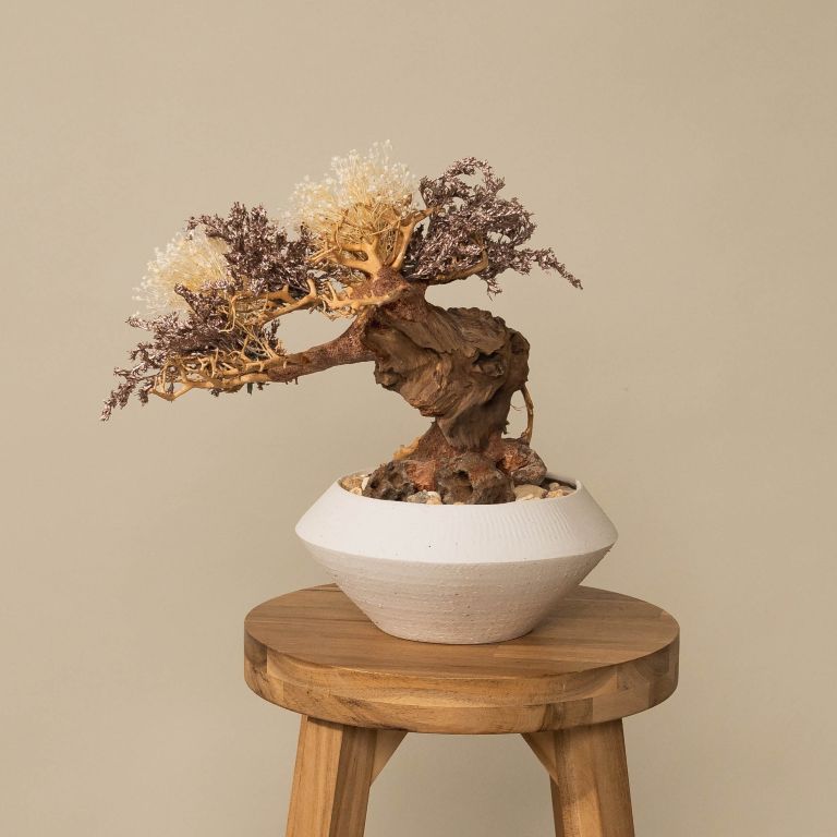 `Plants aroma diffuser No.3`