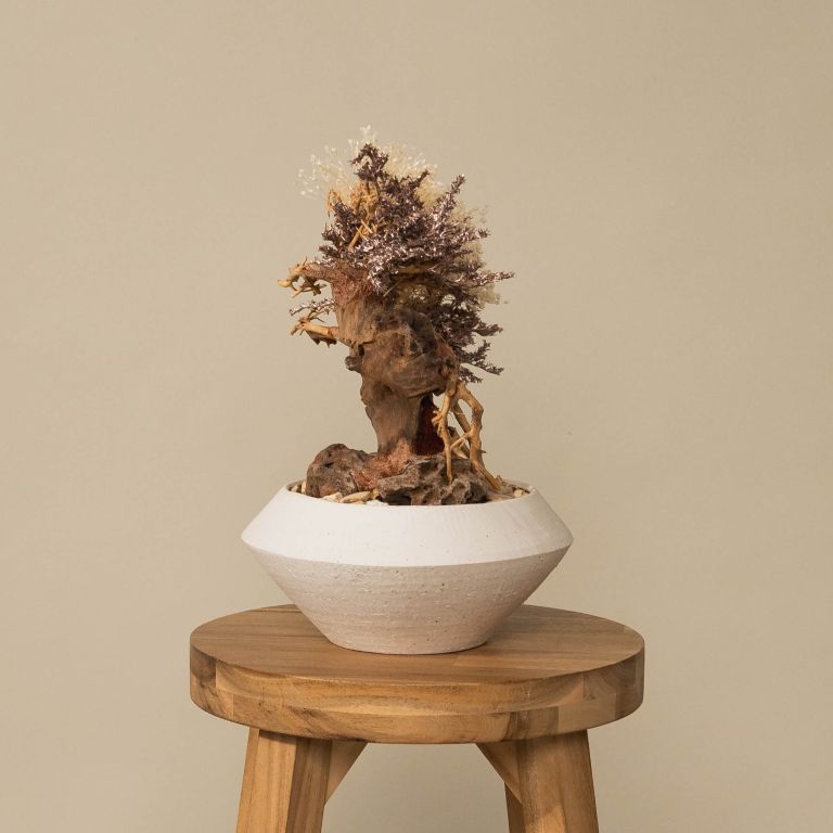 `Plants aroma diffuser No.3`