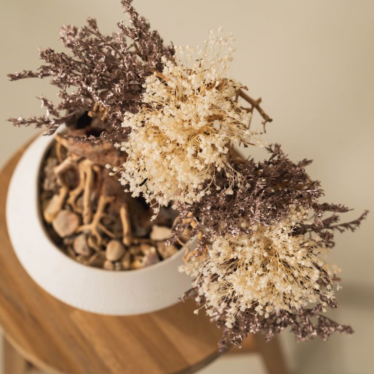 `Plants aroma diffuser No.3`