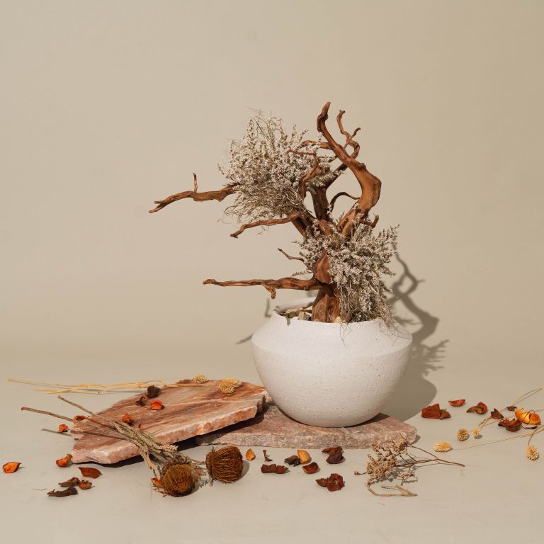 `Plants aroma diffuser No.1`