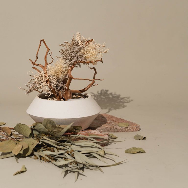 `Plants aroma diffuser No.2`