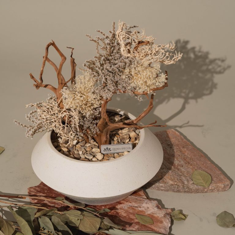 `Plants aroma diffuser No.2`