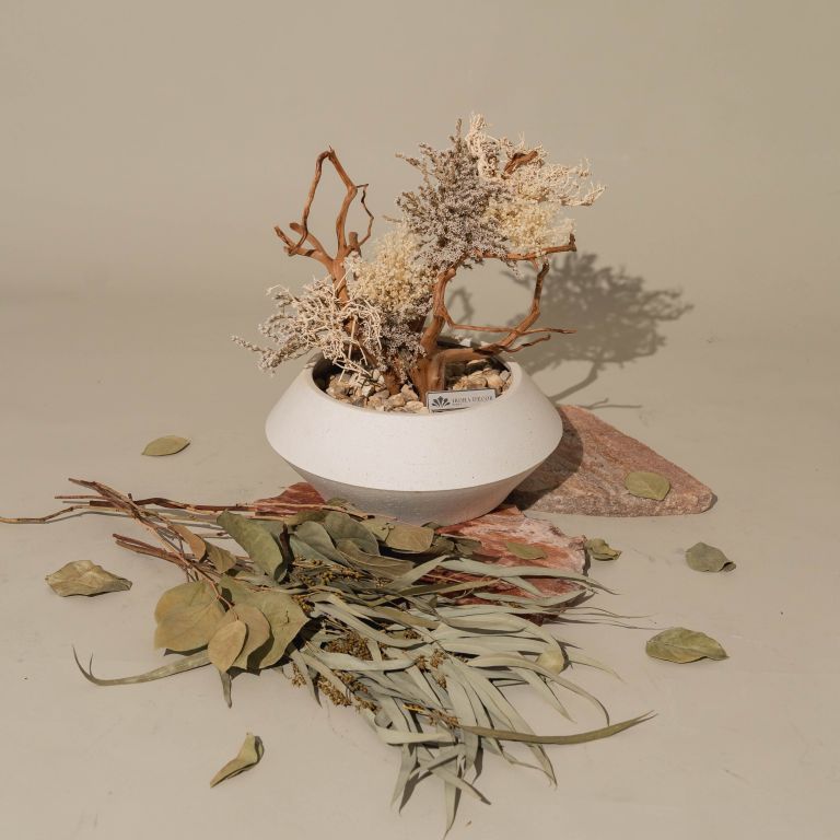 `Plants aroma diffuser No.2`