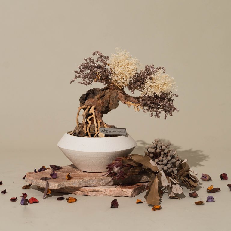 `Plants aroma diffuser No.3`