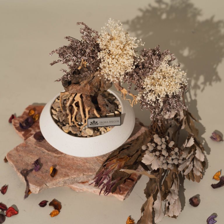 `Plants aroma diffuser No.3`