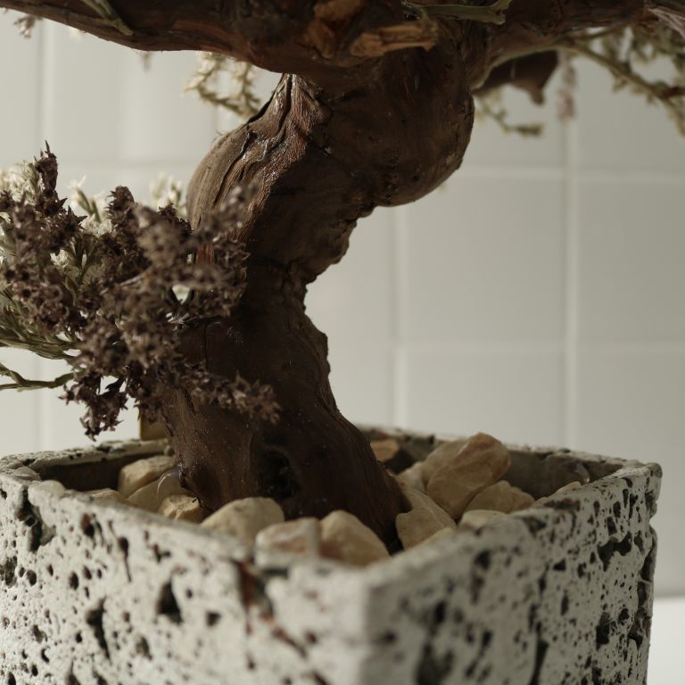 TSUBOMIPlantArts`神無月October`