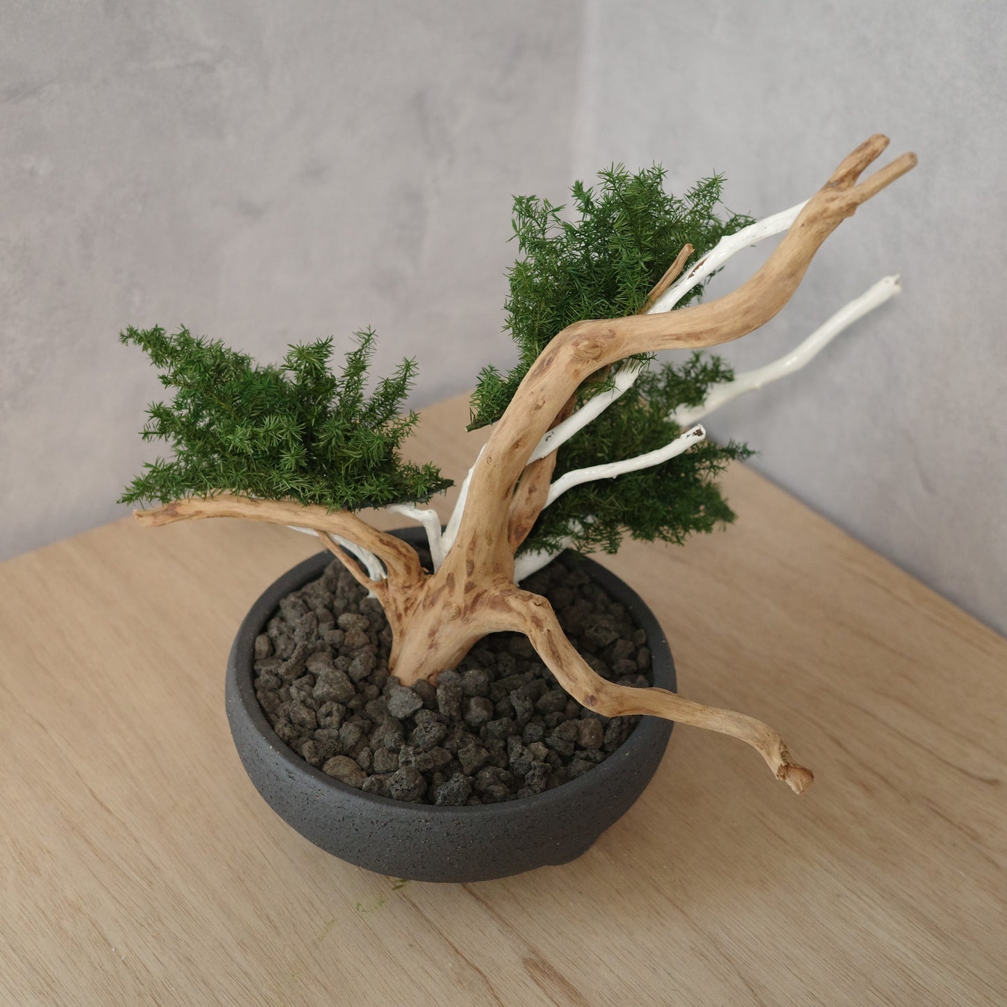 アート盆栽
