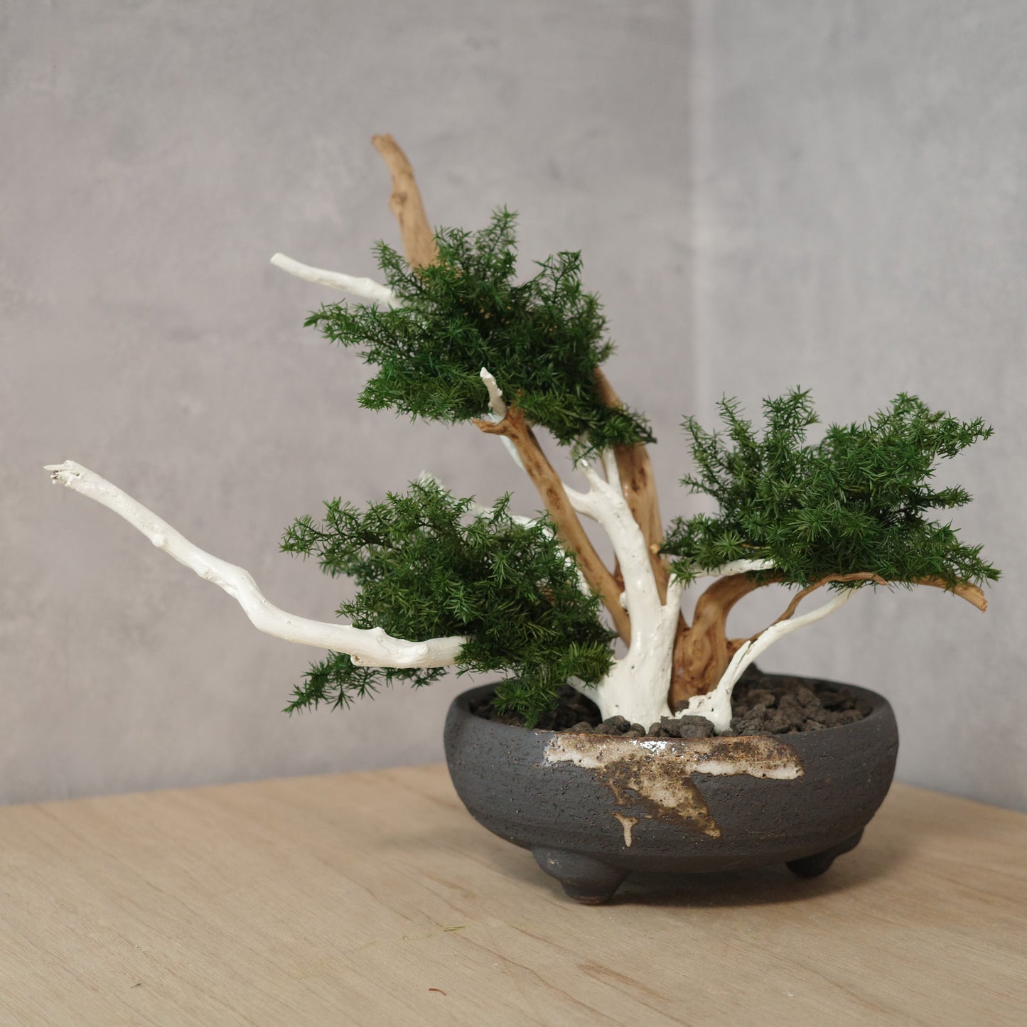 アート盆栽