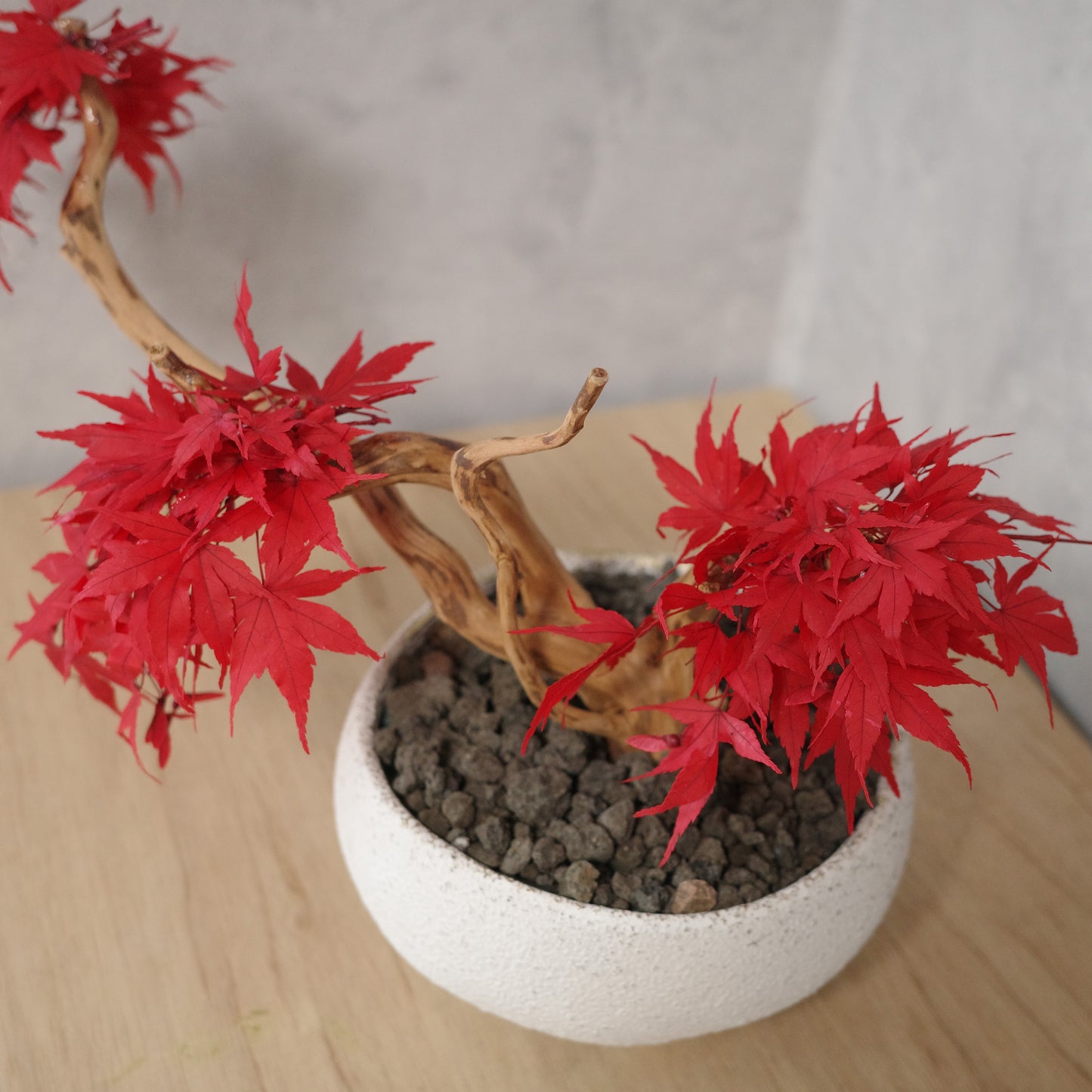 アート盆栽