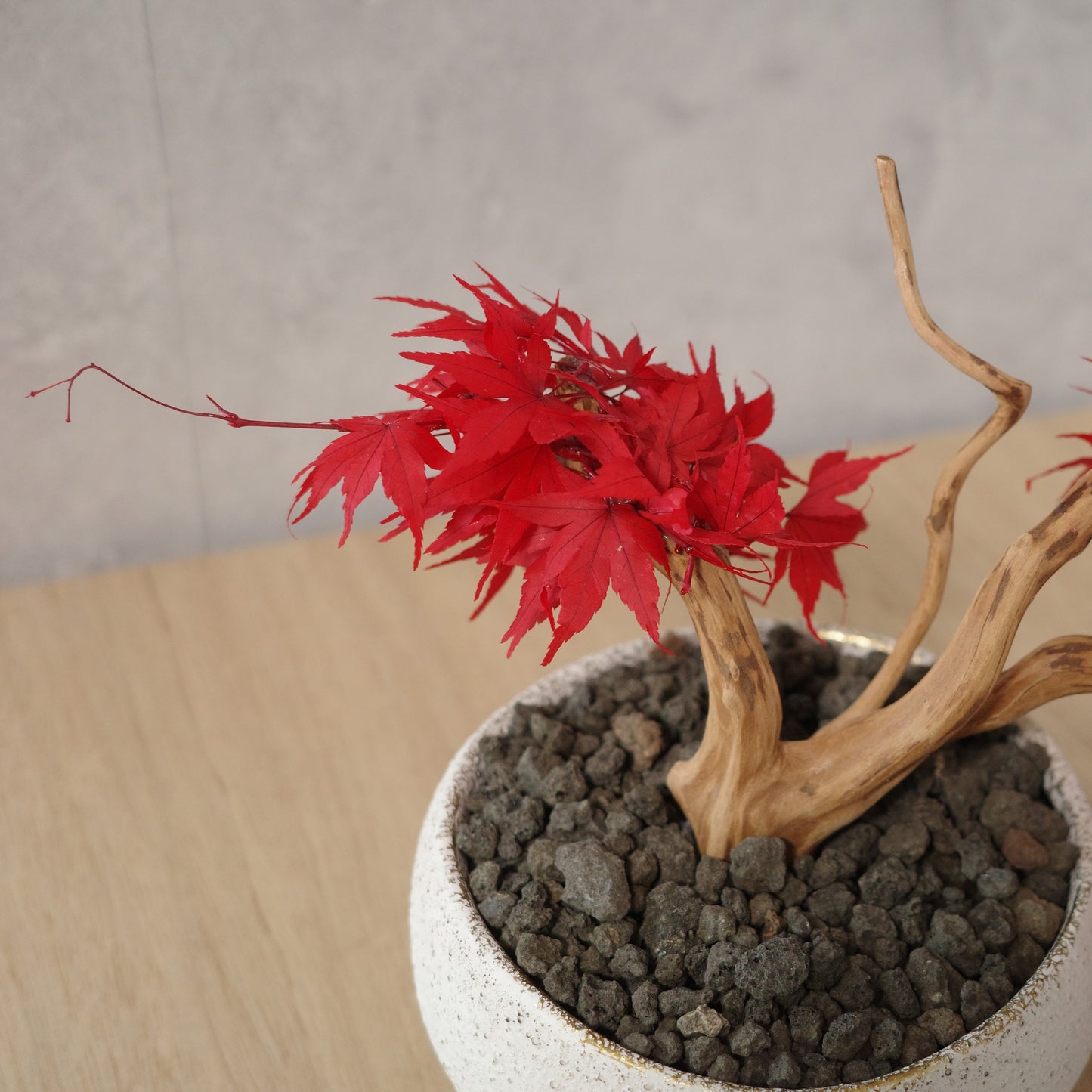 アート盆栽
