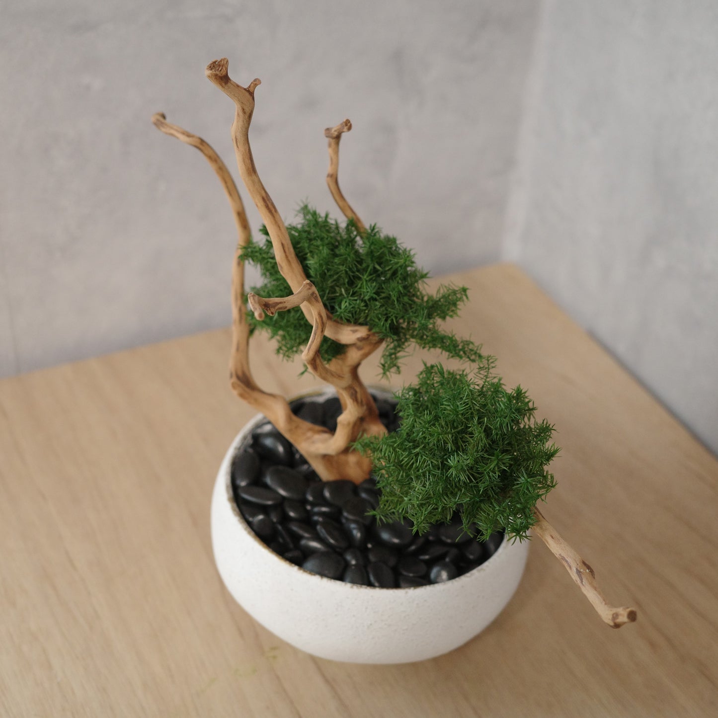 アート盆栽