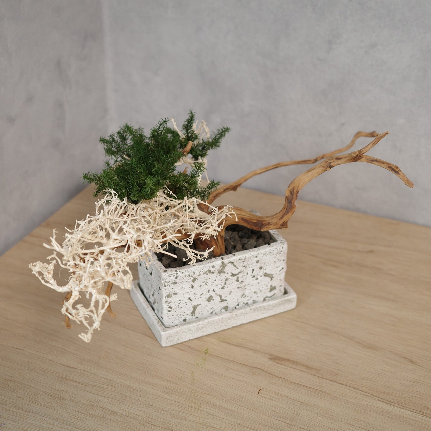 アート盆栽