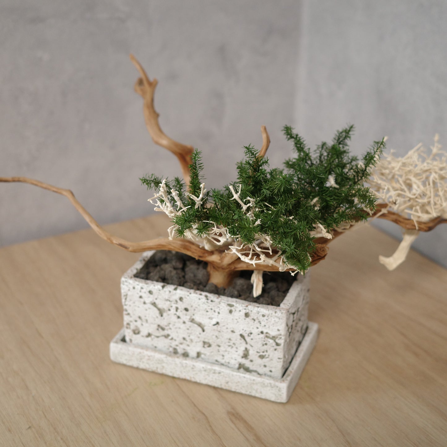 アート盆栽