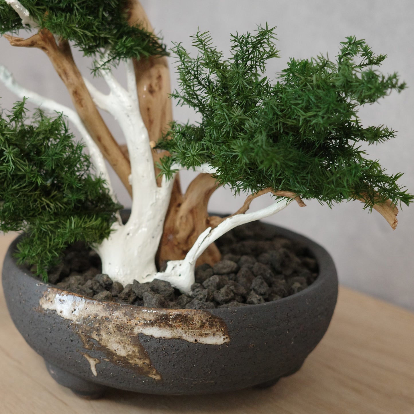 アート盆栽