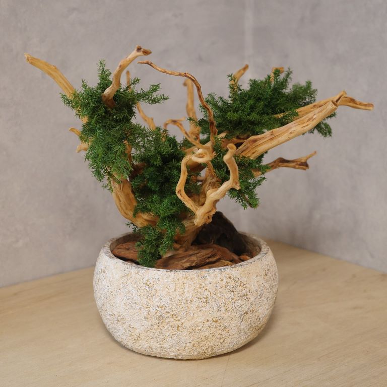 アート盆栽