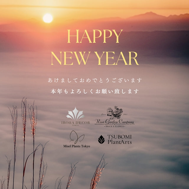 新年あけましておめでとうございます。