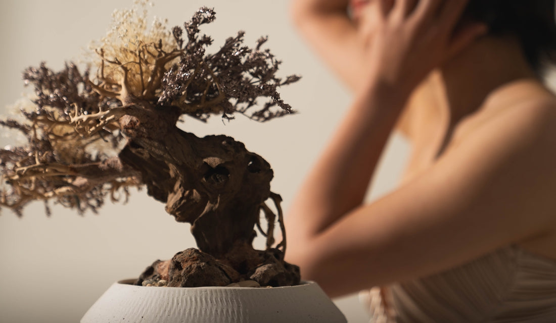 新商品”TSUBOMI”リリースのお知らせ