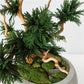 TSUBOMIPlantArts‘アート盆栽01‘