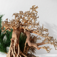 盆栽風オブジェ`壺美（つぼみ）`