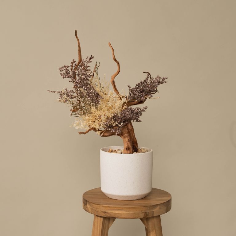 `Plants aroma diffuser No.4`