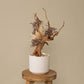 `Plants aroma diffuser No.4`