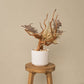 `Plants aroma diffuser No.4`