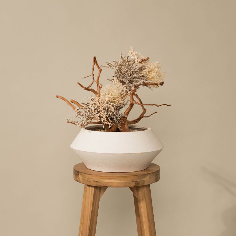 ギフト | 植物・造花の店舗ディスプレイ | 空間デザイン・装飾のIROHA