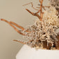`Plants aroma diffuser No.2`