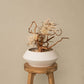 `Plants aroma diffuser No.2`