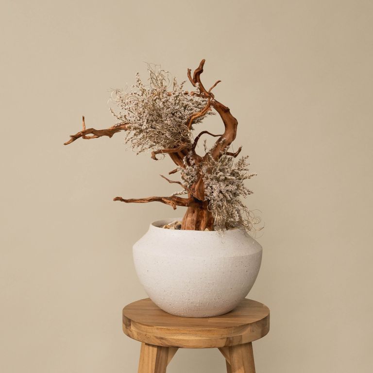 `Plants aroma diffuser No.1`
