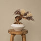 `Plants aroma diffuser No.3`
