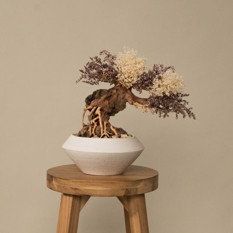 `Plants aroma diffuser No.3`