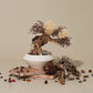 `Plants aroma diffuser No.3`