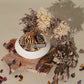 `Plants aroma diffuser No.3`