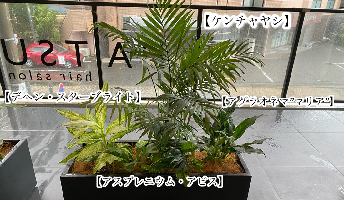 ヘアサロン装飾