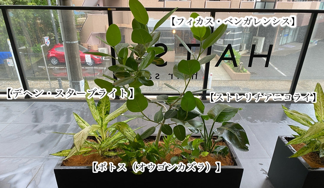 ヘアサロン装飾