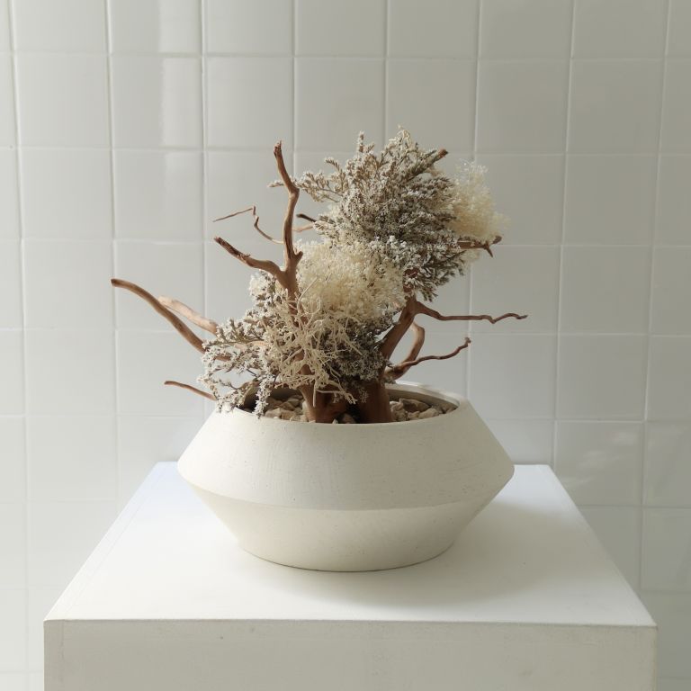 TSUBOMIPlantArts`文月July`